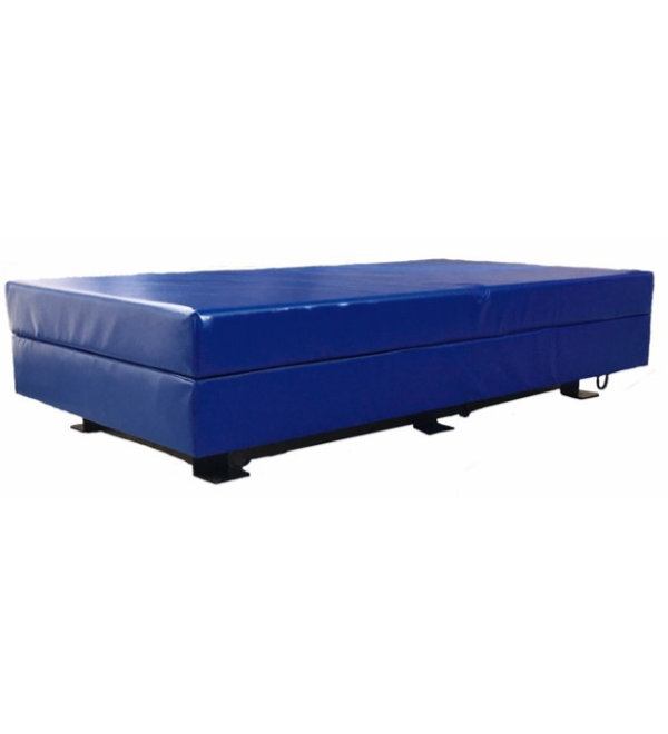 Psychiatrie<br>Santé mentale